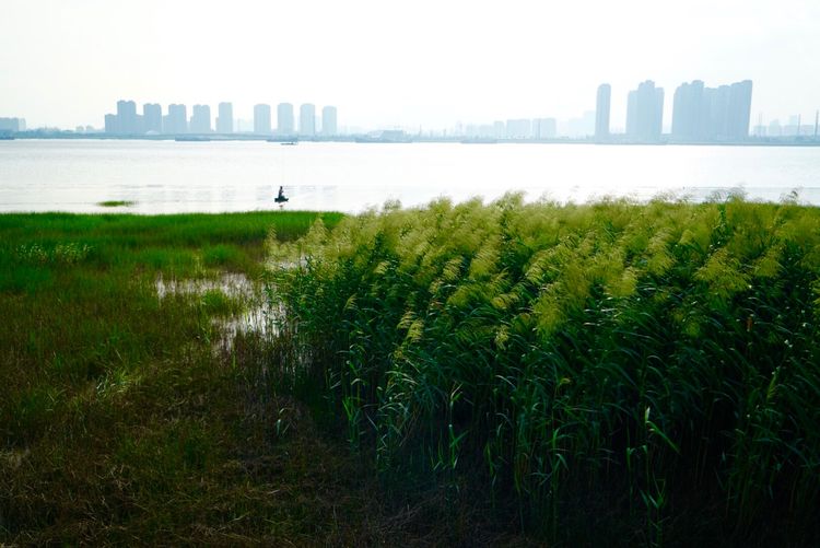 温州市七都镇有什么好景点,温州七都岛适合带孩子去玩