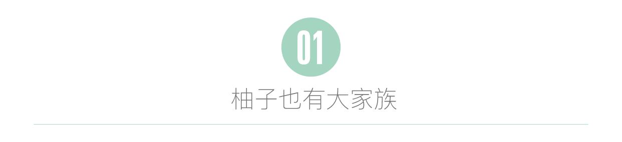 鏌氭粙鏌氬懗姘存灉,鐢熸椿灏辫鏌氭粙鏌氬懗