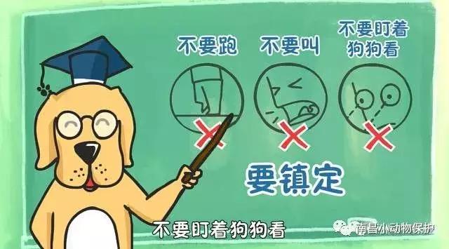 世界狂犬病日漫画,世界狂犬病漫画