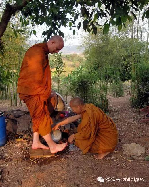 泰国传统佛教习俗为僧侣洗脚是一种积德！
