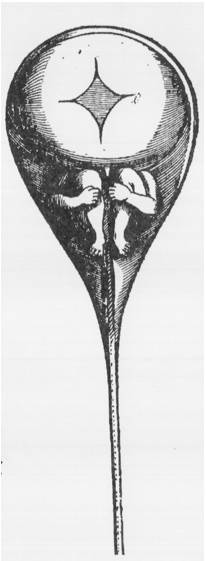 饶毅华大基因,饶毅和饶兵