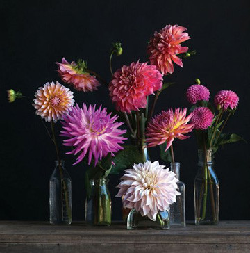 红酒瓶改造花瓶画,红酒瓶摆件