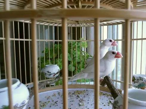 30个健康小知识大全,有哪些容易被大家忽视的健康习惯