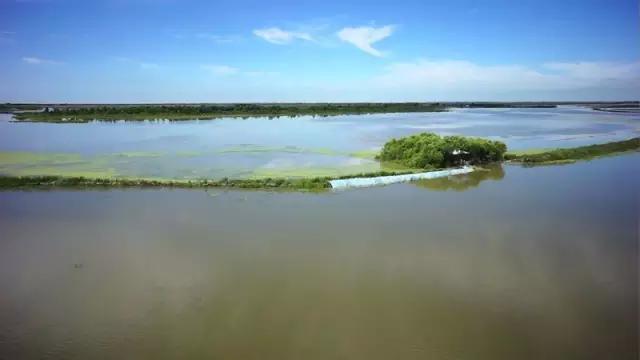美在自然之中,美丽的嫩江湾美景图