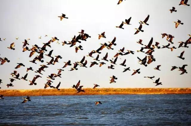 美在自然之中,美丽的嫩江湾美景图