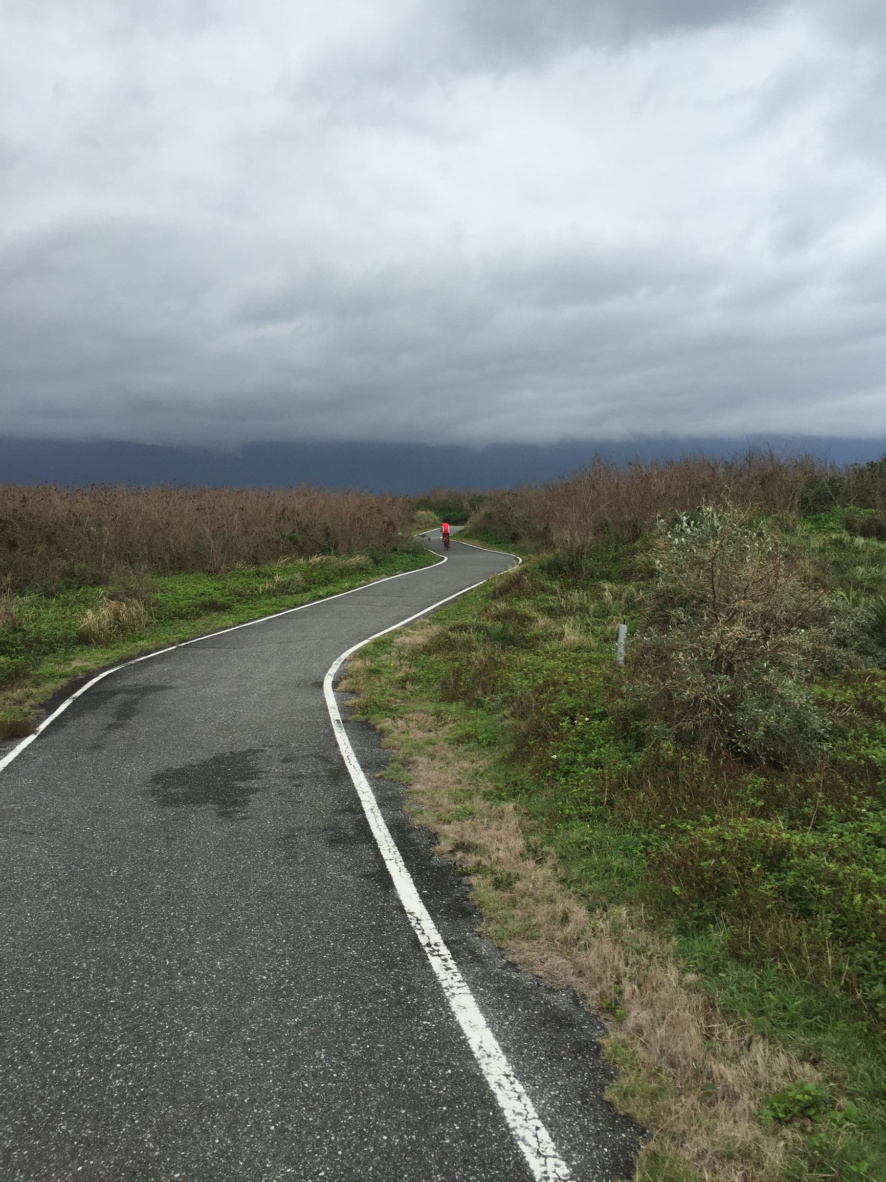 共享单车人人都能骑,共享单车人人都可以骑