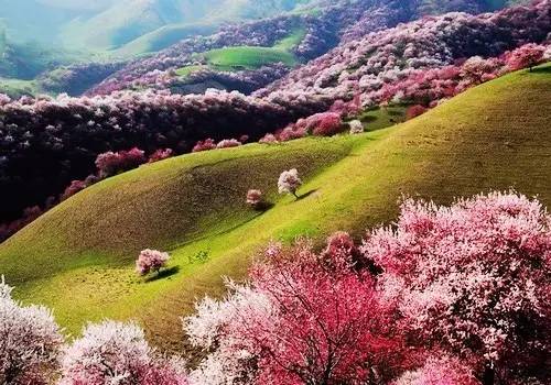 清明小长假出游提醒 (清明小长假微信消息)