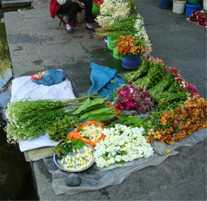 14道菜肴推荐,14道菜海鲜大餐