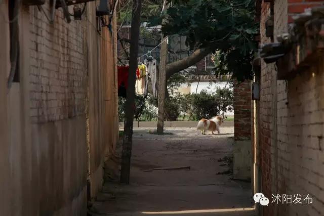 宿迁老巷子的旧时光,宿迁历史记忆老街巷