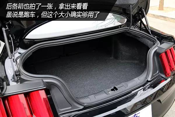 海淘车提幻影黑野马Mustang！必须现车拒绝等待