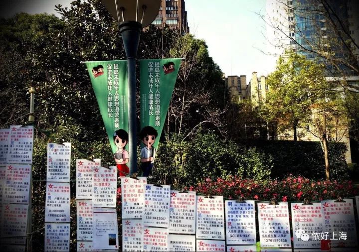 上海人的生存指南,上海生存100个小技巧