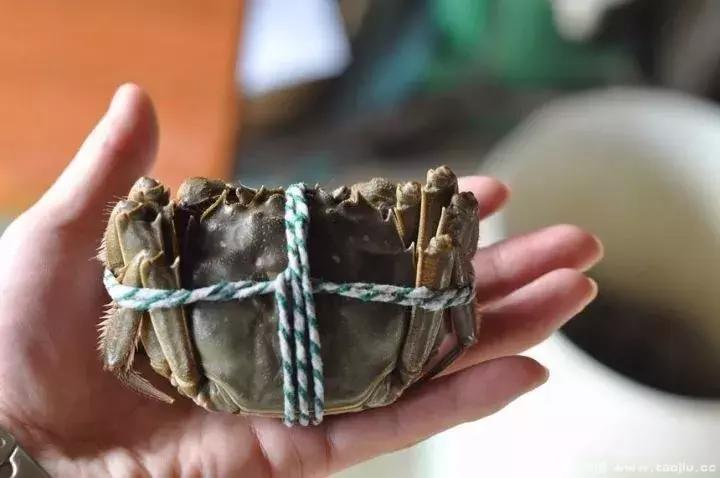 高淳蟹农教你妙招挑螃蟹和保存