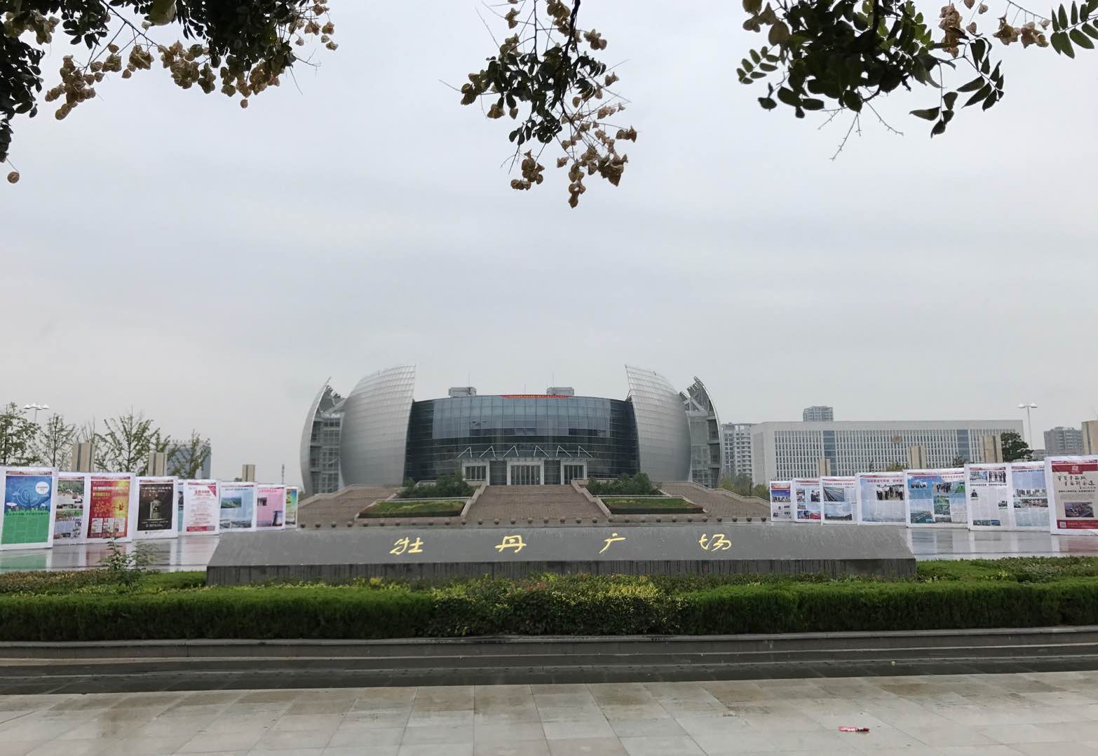 牡丹晚报头条,牡丹晚报视频