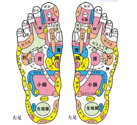 脚底按摩教学脚底穴位,脚底按摩可以每天都按摩吗