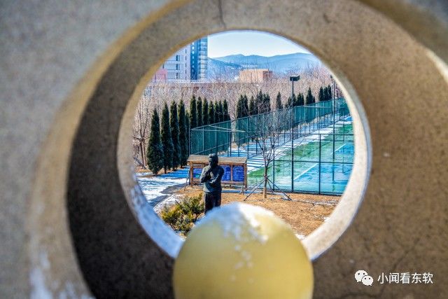 大连东软是本科学校吗,大连东软都有什么院系