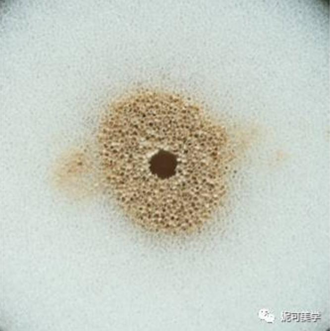 气垫粉底排行榜前十名欧诗漫,九款超详细的气垫测评总结