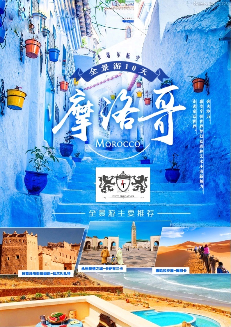 喵星人｜铲屎大大，发现一个超适合撸猫的地方……