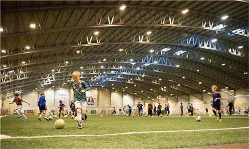 世界杯冰岛几强,冰岛足球崛起的秘密