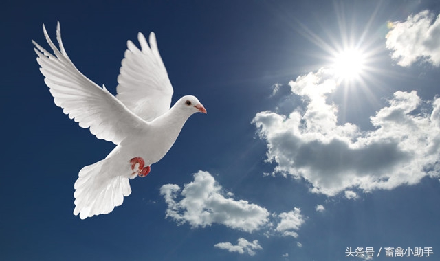 掌握这几点你就是高手,掌握这几点人生大不同