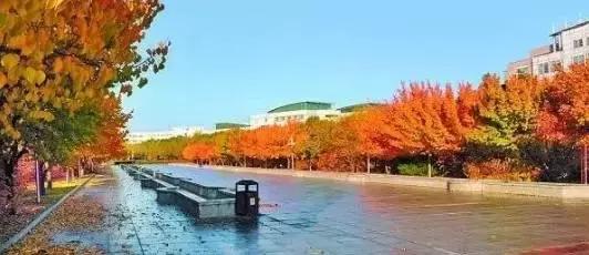 长春冬季最美拍照地,长春有一个很适合拍照的地方