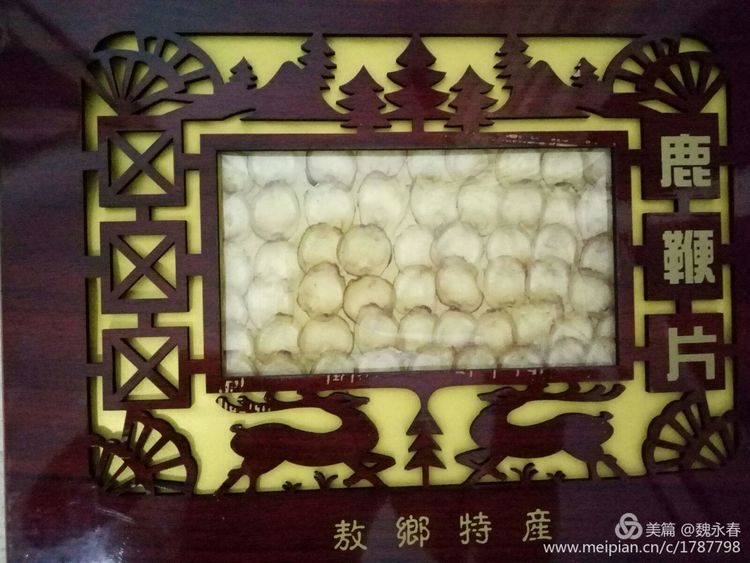 旅游、度假、休闲娱乐为一体的内蒙古根河市敖鲁古雅旅游度假村