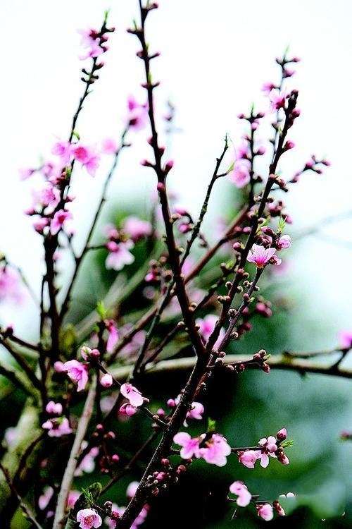 十劝世人大实话完整版,十劝世人大实话