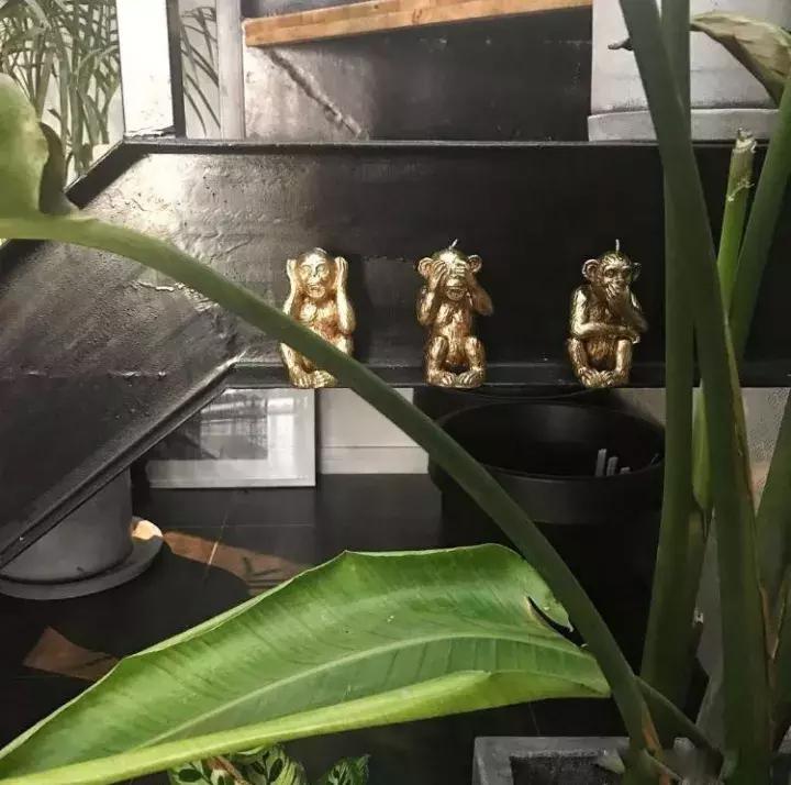 小户型如何拥有独立洗衣房，错过悔一生！