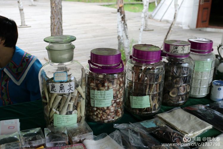 旅游、度假、休闲娱乐为一体的内蒙古根河市敖鲁古雅旅游度假村