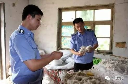 太便宜的棉衣，千万不要给孩子买！