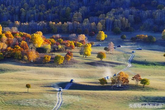 尼康d850配适马85mmf1.4art,适马小黑五代尼康d850