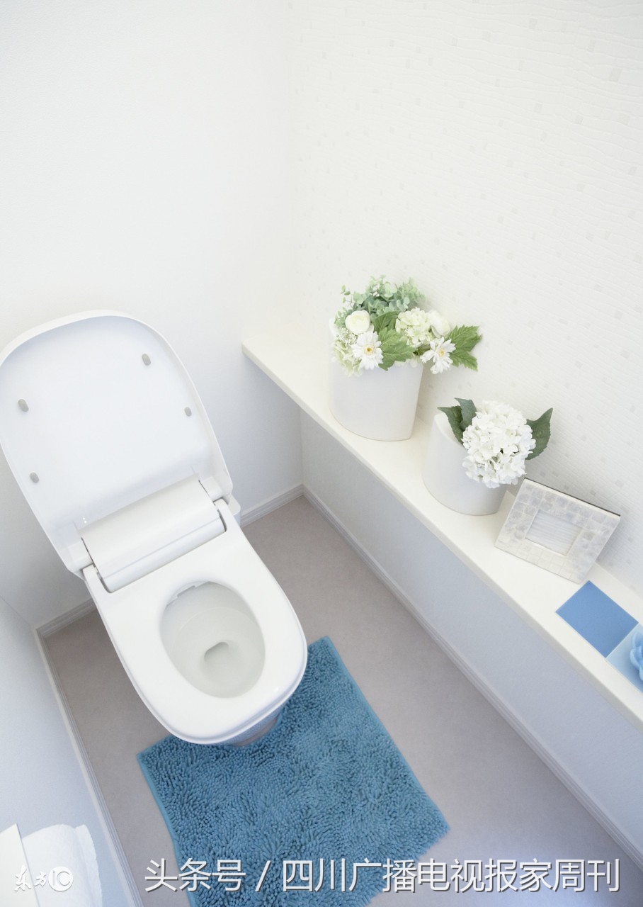 大便太用力会把头血管崩开吗,大便时太用力是否会把血管撑破了