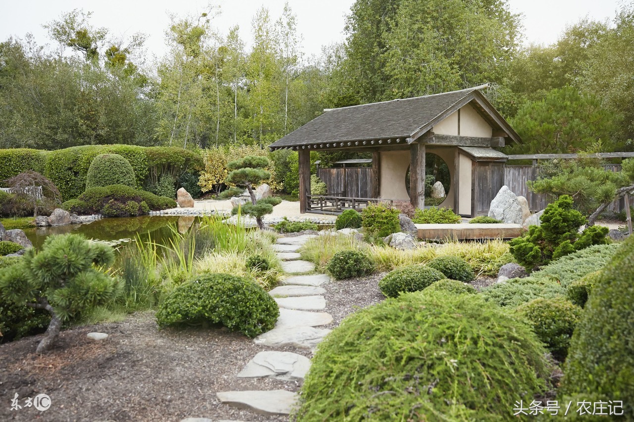 江苏这几处“农家乐园”能让你过足农村瘾？