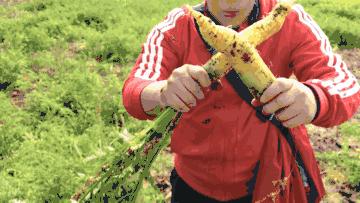一场秋宴是清欢/农场餐桌之慈心秋宴纪实Farm-to-Table