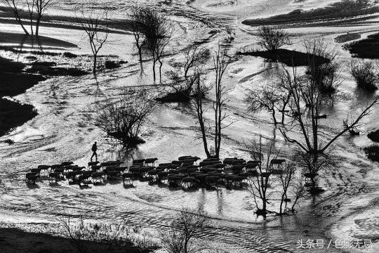 尼康d850配适马85mmf1.4art,适马小黑五代尼康d850