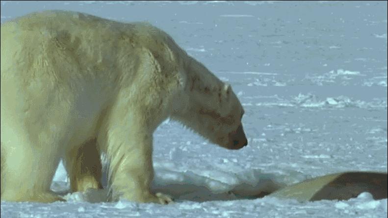 等了你十七年,等了17年