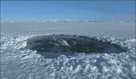 等了17年,等了你十七年