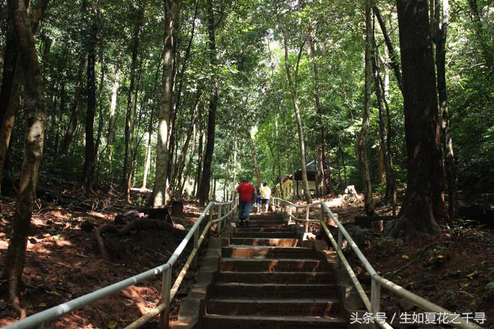 去兰卡威逗小鲨鱼，登嘉楼热浪岛浪一浪