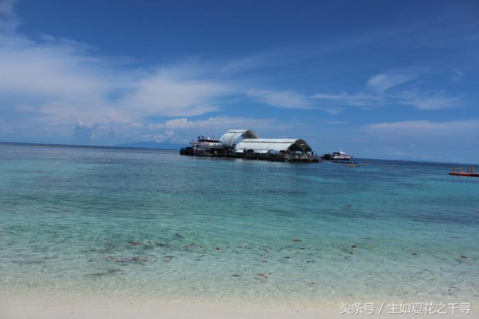 去兰卡威逗小鲨鱼，登嘉楼热浪岛浪一浪
