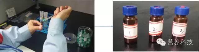 营养元素检测,检测蔬菜中常见的维生素c实验