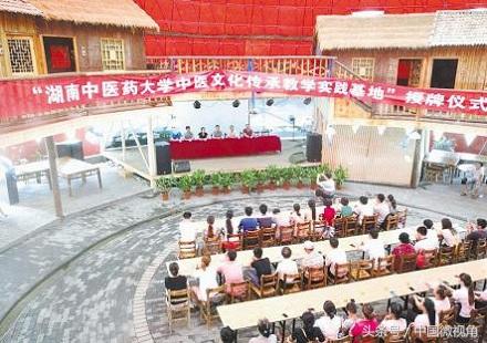 中医药与养生文化的融合发展论文,蜂疗产业