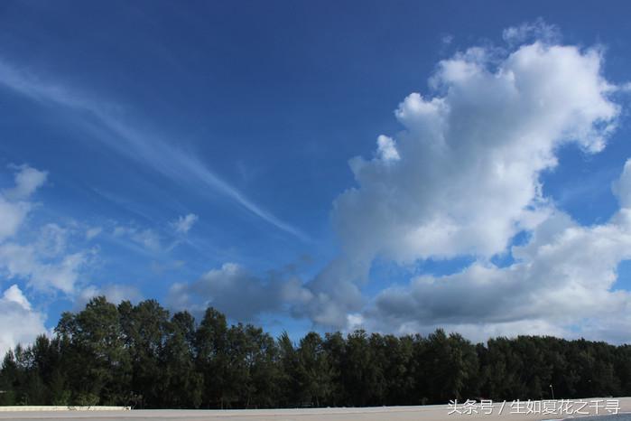 去兰卡威逗小鲨鱼，登嘉楼热浪岛浪一浪