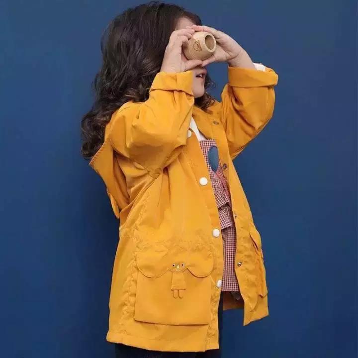 大广东的秋天,广东终于有了入秋的感觉