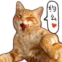 神助力家具，让你和心仪的喵星人甜蜜同居