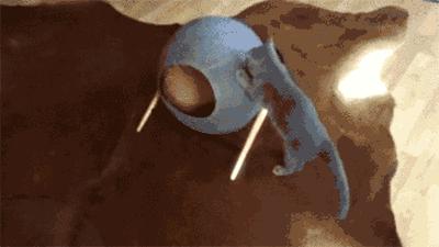 神助力家具，让你和心仪的喵星人甜蜜同居