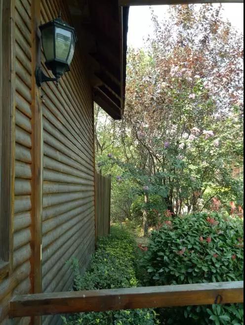 洛龙区银杏帝都温泉地址,洛阳银杏帝都温泉