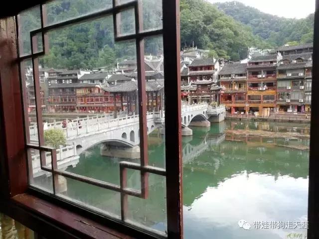 开着房车去遛娃,开着房车带狗狗出去玩