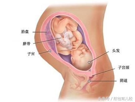胎盘位于子宫前壁是在哪个位置,胎盘位于子宫右前壁是在哪