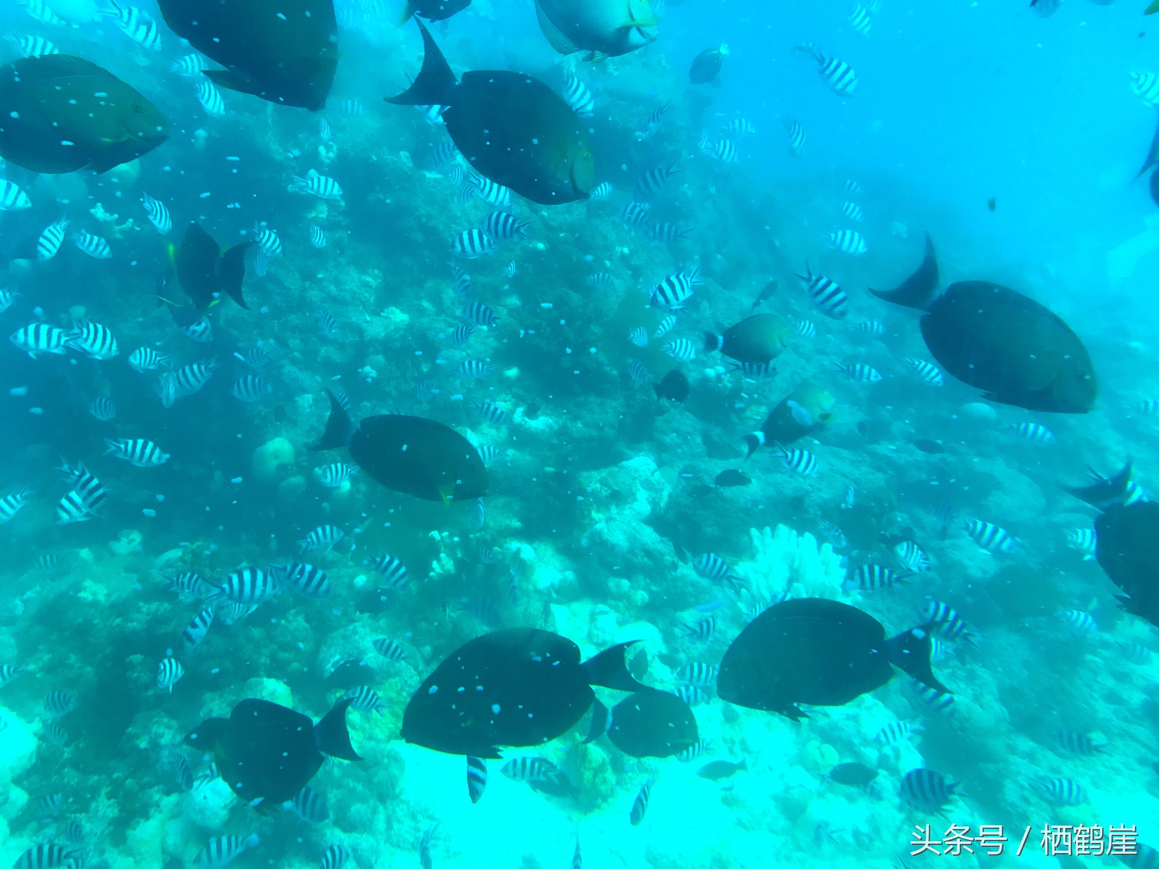 小平民菲律宾,小塞班海岛攻略