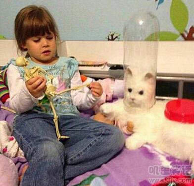 爆笑视频有个女的很可爱,一个女孩拍的搞笑段子