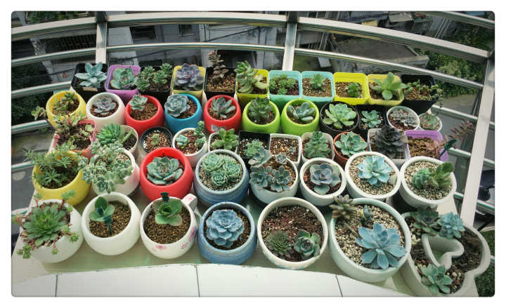 厉害辣我的姐！这是一个关于1000元改变出租屋的苦逼故事！